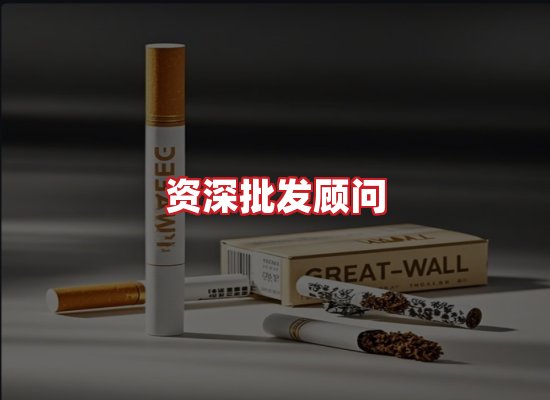 专业团队